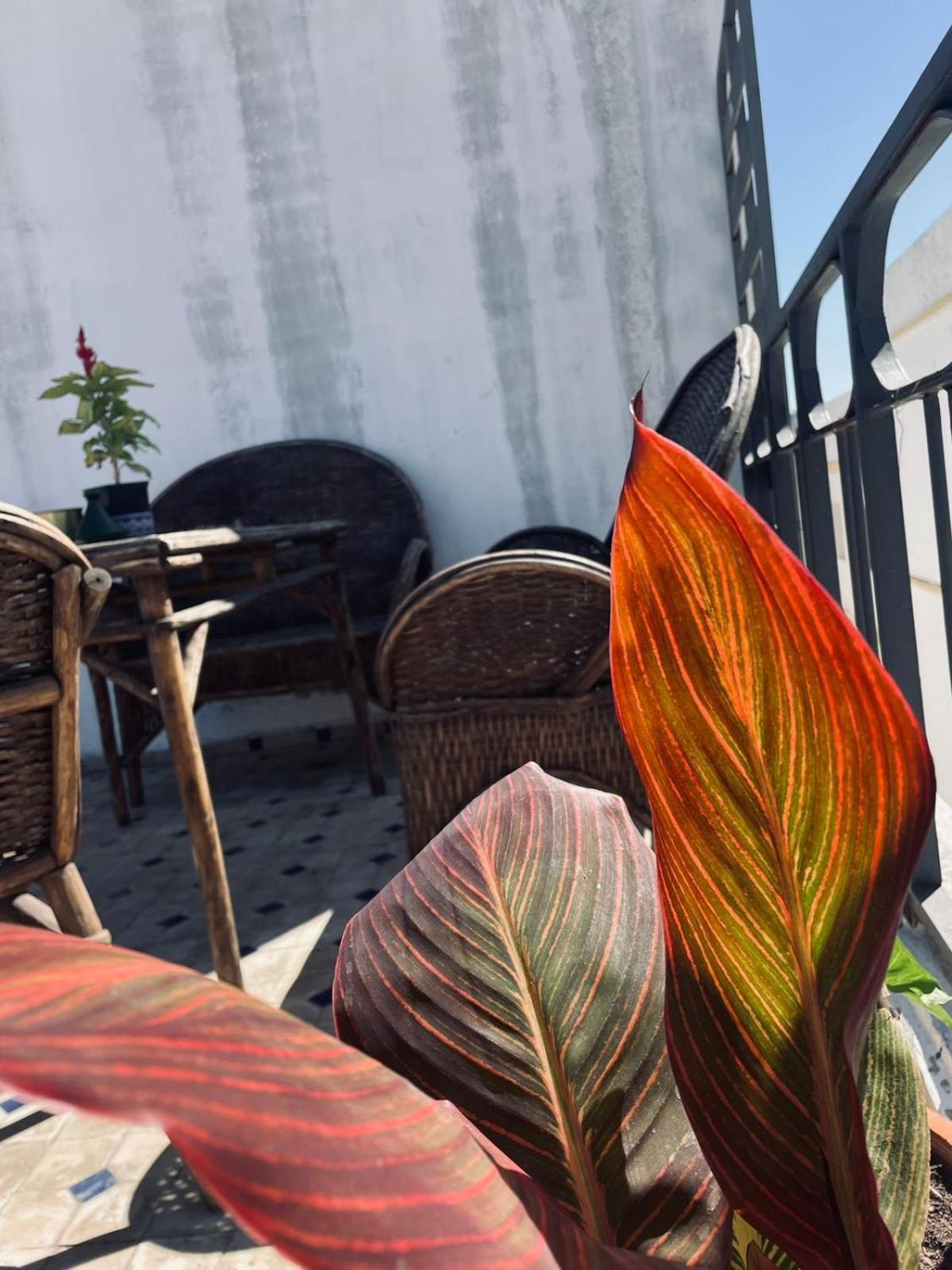 Kasbah'S Road Art House Villa Tangier Exterior photo